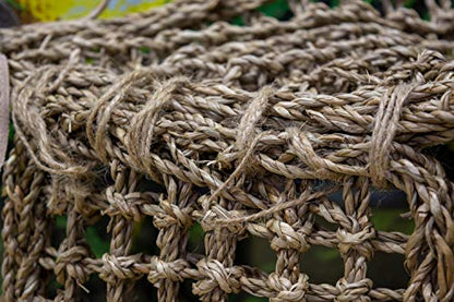 Penn-Plax Reptology Lizard Lounger Corner Triangle with Ladder– 100% Natural Seagrass Fiber – Great for Bearded Dragons, Anoles, Geckos, and Other Reptiles – Large - size: Large