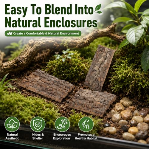 Homoyoyo 4Pcs Cork Bark for Reptiles, Natural Tree Bark Flats 3-5.5 in, Small Reptile Hide and Terrarium Decor for Leopard Gecko Tank, Jumping Spider, Isopod, Frog, Toad Enclosure