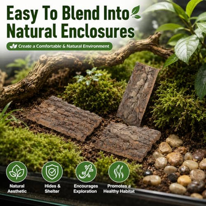Homoyoyo 4Pcs Cork Bark for Reptiles, Natural Tree Bark Flats 3-5.5 in, Small Reptile Hide and Terrarium Decor for Leopard Gecko Tank, Jumping Spider, Isopod, Frog, Toad Enclosure