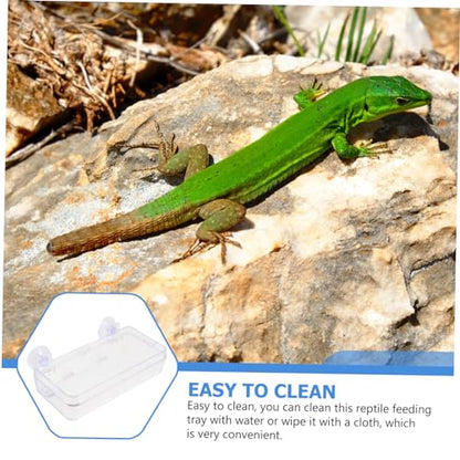 Beavorty 1pc Lizard Feeding Bowl Suction Cup Reptile Feeder Reptiles Reptile Water Bowl Reptile Gecko Feeder Dish Bowl Worm Dish Reptile Bowl Terraium Bowl Gecko Drink Acrylic Suction Basin