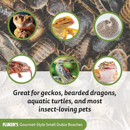 Fluker's Gourmet Canned Food for Reptiles, Fish, Birds and Small Animals, Dubia Roaches, 1.2 oz (Pack of 2) - size: 1.2 Ounce (Pack of 2), style: Dubia Roaches