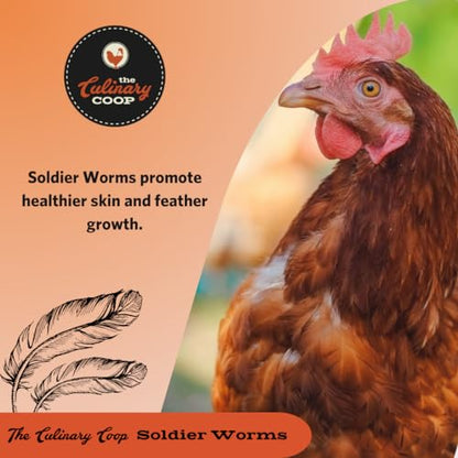 Fluker's Culinary Coop Bulk Dried Soldierworms, Premium Organic Dried Soldierworms for Chickens-High Protein & Omega3 Chicken Feed for Wild Birds, Reptile,& Chicken Treats for Laying Hens, 5lbs - size: 5 pound (Pack of 1)