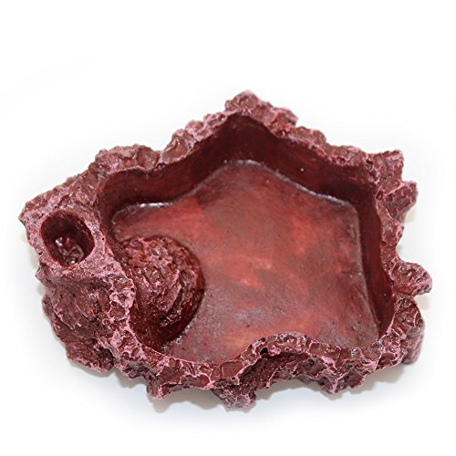 OMEM Reptile Natural Bowl Food and Water Dish Resin Made (2PCS- Red S)