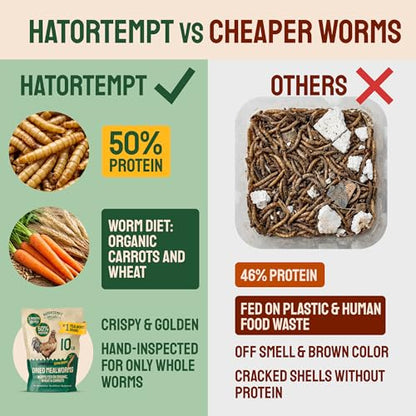 Hatortempt 5lb Dried Mealworms for Chickens & Wild Birds, Chicken Feed | High-Protein Chicken Food - Meal Worms Fed an Organic Diet - Hand Inspected Treats for Laying Hens & Ducks - 2 Yr Shelf Life - size: 5 Pound (Pack of 1)