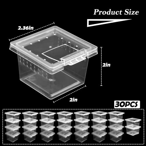30 Pcs Insect Spider Terrariums Transparent Breeding Box Plastic Hatching Container for Tarantula Spider Scorpion Centipede Mantis