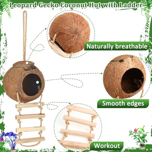 Foilswirl 14 Pcs Gecko Tank Accessories Coconut Hut with Ladder Lizard Coco Hut Reptile Hammock Climbing Hanging Plants Climber Jungle Vines for Bearded Dragon Lizard Chameleon Tortoise Snake