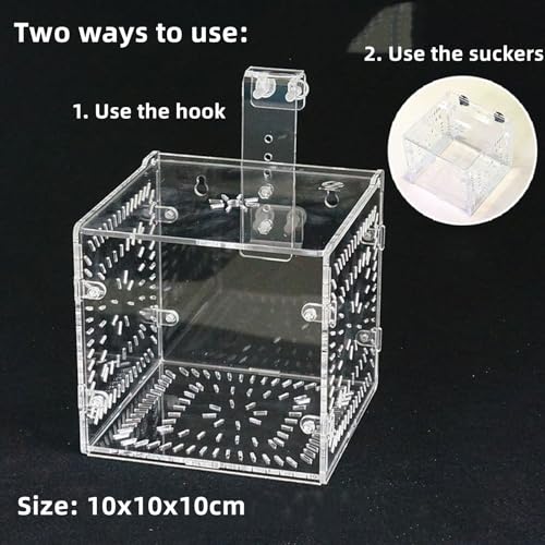 Fish Isolation Breeder Box, Clear Acrylic Breeding Incubator with Divider and Dual Mounting for Aquarium Fish Tank Transparent 3.94 x 3.86 x 3.94 in 1 Pack
