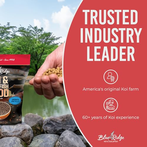 Blue Ridge Koi Fish Food 5lb - Koi Food Mini Growth Formula, Goldfish Food, Premium Fish Food for Ponds, Ponds Fish Food, Floating Pond Pellets - size: 5 Pound (Pack of 1)