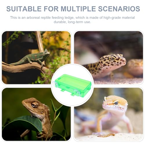 Toddmomy Escape-Proof Reptile Feeding Box and Reusable Lizard Food Dish, Small Green Reptile Water Bowl for Geckos, Bearded Dragons, and Lizards, 2pcs Set for Terrarium Use