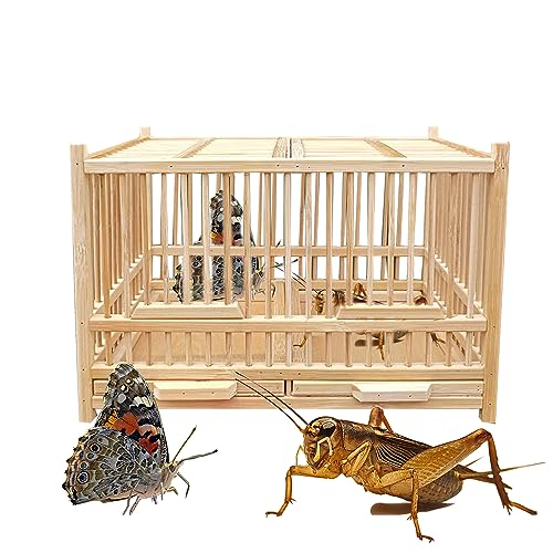 Small Reptile Animals Terrarium. Insect Enclosure. Crickets, Snails, Spiders, Cockroach ，Tarantula ，Caterpillar，Cages. Luxury Houses, Double Room. Bamboo (A)