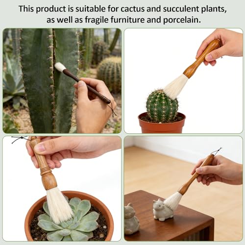 Cactus Plants Cleaning Brushes,Wooden Handles with Goat Hair Bristles,Garden Plant Cleaning Tools,Mild and Soft,Extra-Long Bristles，Three Different Lengths, Suitable for Various Plants and Scenarios.