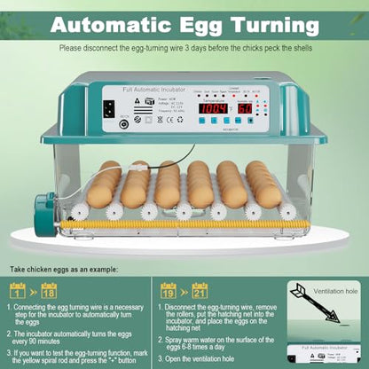 36 Eggs Incubators for Hatching Eggs,Egg Incubator with 4 Automatic Incubate Mode,Chicken Incubator with Automatic Egg Turning Humidity Display,Quail Egg Incubator with Egg Candle - size: 36 Egg