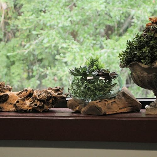 Decorative Vase, 10 Inch Wide-Mouth Molten Glass on Teak Driftwood | Artisan-Crafted, Natural Finish, Serves as Sculptural Bowl, Planter, Terrarium, Or Centerpiece
