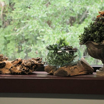 Decorative Vase, 10 Inch Wide-Mouth Molten Glass on Teak Driftwood | Artisan-Crafted, Natural Finish, Serves as Sculptural Bowl, Planter, Terrarium, Or Centerpiece