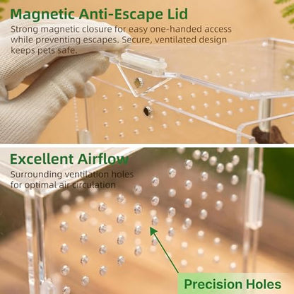 Portable Acrylic Jumping Spider Terrarium 5.9" Cube for Spider, Mantis | Ventilated design; secure magnetic lock closure. Designed for small reptiles & insects. Lightweight for travel and display - size: 5.9×5.9×5.9 Inch