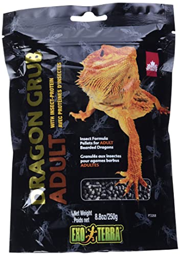 Exo Terra Dragon Grub, Adult, 8.8 oz | High-Protein Bearded Dragon Food with Black Soldier Fly Larvae