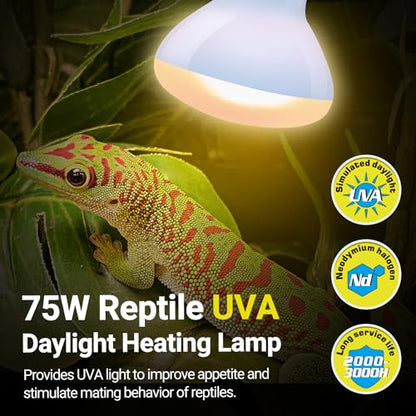 REPTI ZOO 75W Reptile Heat Lamp Combo Pack, 2PCS Day & Night Basking Spot Light, UVA Daylight Heating Lamp Basking Bulb and Infrared Heat Emitter Red Heat Lamp