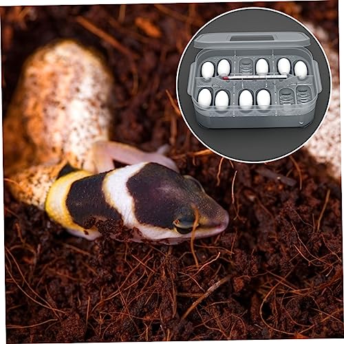 Transparent Reptile Hatching Box Incubator Durable Double Design for Efficient Egg Incubation Easy to Clean Manage Lightweight Portable for Breeding Lizards