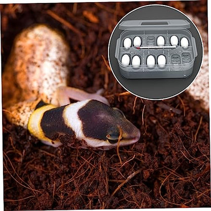 Transparent Reptile Hatching Box Incubator Durable Double Design for Efficient Egg Incubation Easy to Clean Manage Lightweight Portable for Breeding Lizards