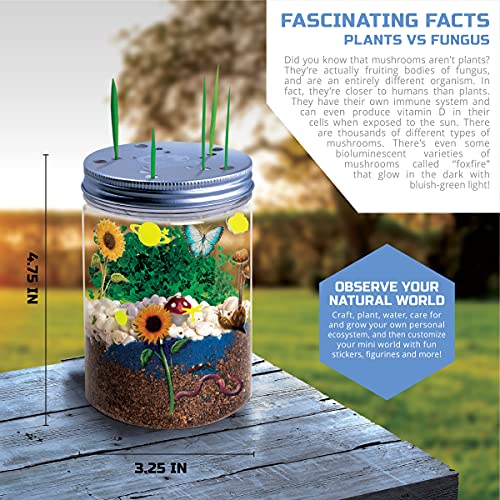 Discovery #MINDBLOWN DIY Terrarium Grow Kit, Fast-Growing Indoor Mini Garden, Create A Living Ecosystem, Includes Sand, Seeds, Potting Mix, Stones and More