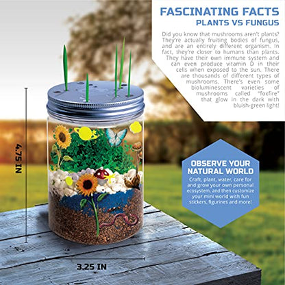 Discovery #MINDBLOWN DIY Terrarium Grow Kit, Fast-Growing Indoor Mini Garden, Create A Living Ecosystem, Includes Sand, Seeds, Potting Mix, Stones and More