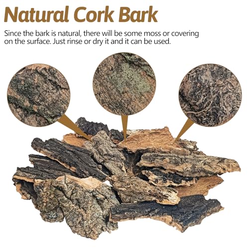 BNOSDM Reptile Cork Bark Substrate Tortoise Bedding for Lizard, Crested Gecko