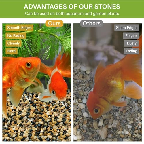 NUPICK 6 lb Aquarium Gravel, 1/4" Ph-Natural Pea Gravel for Fish Tank | Small River Rocks for Plants, Decorative Aquarium Pebbles for Vase, Landscaping, Succulent, Cactus, Terrarium,Bird Bath - size: 6 lb