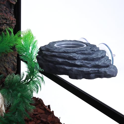 AIICIOO Crested Gecko Feeder Ledge Single Bowl Reptile Food Dish with 3PCS Reptile Feeding Cup Pet Water Dish for Bearded Dragon Snake Frog Tortoise Lizard Chameleon - size: Single Bowl Feeding Ledge