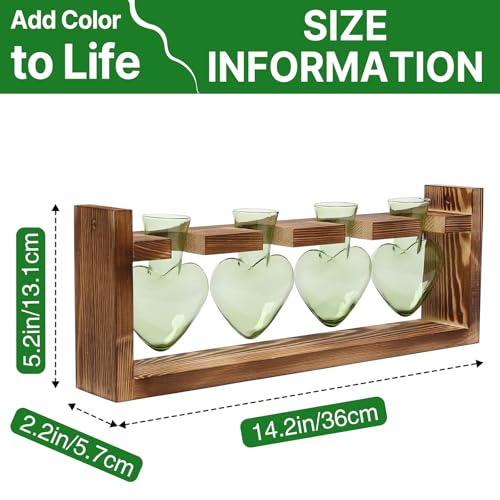 Plant Propagation Stations Heart Plant Terrarium Kit | Gift for Women Plant Lover Glass Vases - color: Green
