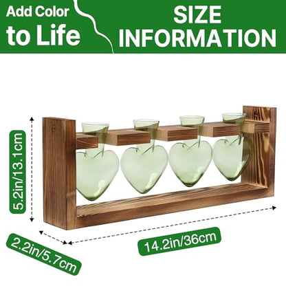 Plant Propagation Stations Heart Plant Terrarium Kit | Gift for Women Plant Lover Glass Vases - color: Green