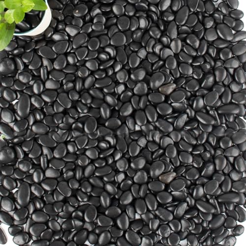 45lb Black Pebbles for Plants,Potting,Succulents Aquarium Fish Tank Vases Decorative Garden Polished Gravel Rocks Stones - size: 45LB, style: Black