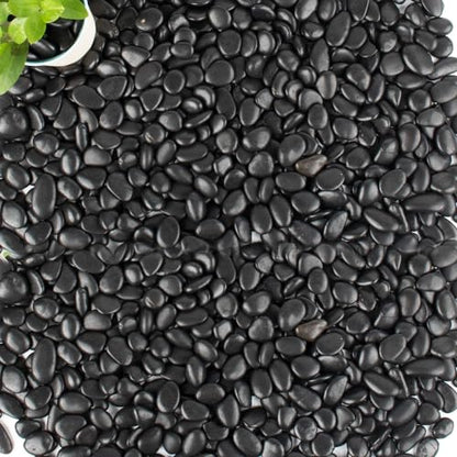 45lb Black Pebbles for Plants,Potting,Succulents Aquarium Fish Tank Vases Decorative Garden Polished Gravel Rocks Stones - size: 45LB, style: Black
