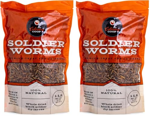 Fluker's Culinary Coop Premium Chicken Treats, Dried Soldier Worms, Packed with Protein and Calcium, 100% Natural Rich Grubs for Chicken, Backyard Birds, and Reptiles, 16 oz (Pack of 2) - size: 1 pound (Pack of 2)