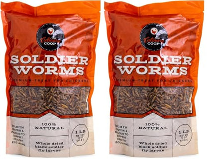 Fluker's Culinary Coop Premium Chicken Treats, Dried Soldier Worms, Packed with Protein and Calcium, 100% Natural Rich Grubs for Chicken, Backyard Birds, and Reptiles, 16 oz (Pack of 2) - size: 1 pound (Pack of 2)