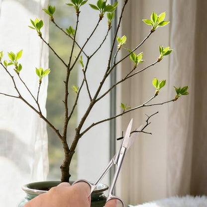 5pcs Plant Tweezers and Scissors, Long Stainless Steel Garden Bend Tongs Set with Straight Curved Flat Point Tip Multiple-Use Gardening Tools for Bonsai Reptile Feeding Kitchen Use - style: B