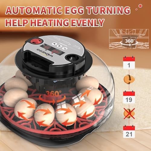 Nest II - 12 Egg Incubator for Beginners, Multi-Level Adaptive Humidity (Auto-Refill & Dual-Bottle) & Stable Temp Control, Auto Egg Turning, Real-Time Display, Candler for Hatching Poultry Eggs - size: 12 Egg [Black&Red]