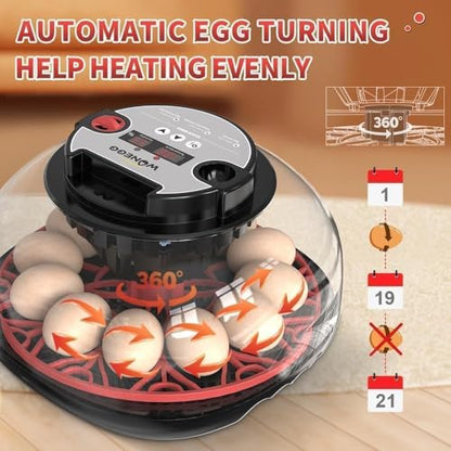 Nest II - 12 Egg Incubator for Beginners, Multi-Level Adaptive Humidity (Auto-Refill & Dual-Bottle) & Stable Temp Control, Auto Egg Turning, Real-Time Display, Candler for Hatching Poultry Eggs - size: 12 Egg [Black&Red]