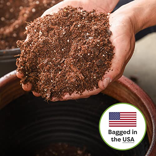 Perfect Plants Snake Plant Soil, 8 qt, Coco Coir Potting Mix | All-natural pine bark, perlite and sand for indoor Sansevieria, drains quickly and resists compaction, no added fertilizer - size: 8qt.