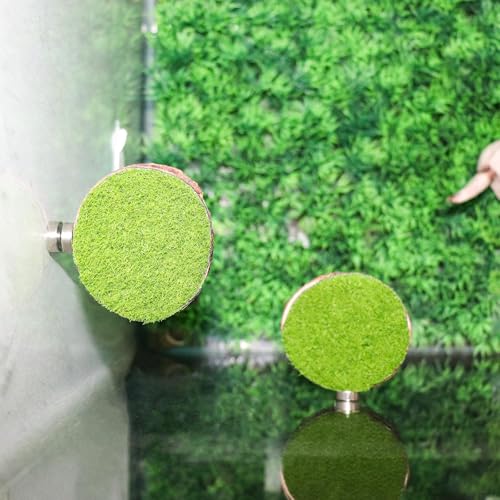 Jumping Spider Accessories, 4 Pack Wooden Ledges with Magnets, Natural Pine Spiders Ledges, Jumping Spider Enclosure Accessories, Magnetic Reptile Ledge - color: Green Artificial Grass