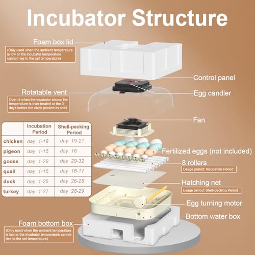 35 Chicken Egg Incubator, Quail Incubator with Humidity Control | Incubator for Hatching Eggs, Automatic Egg Turning, Egg Candler, Humidity Display, incubadora de huevos de gallina