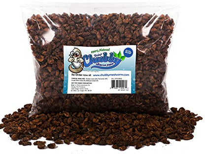 Chubby Dried Silkworm Pupae | 2 lbs | High-Protein Treat for Koi, Fish, Reptiles & Terrapins Nutrient-Rich Calcium Snack | High-Protein Treat, For Koi, Fish, Reptiles & Terrapins, Nutrient-Rich, Calcium Snack - size: 2 Pound (Pack of 1)