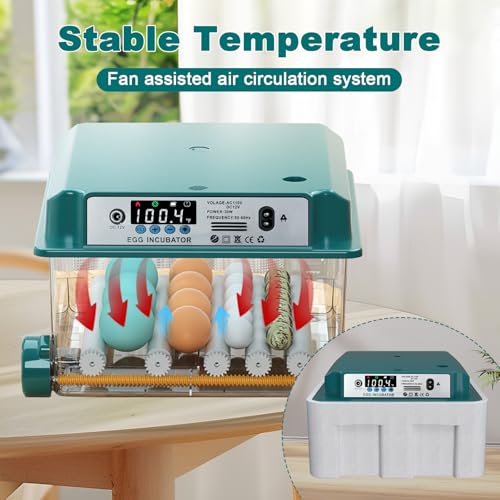 16 Eggs Incubators for Hatching Eggs, Egg Incubator with Automatic Egg Turning and Temperature Control, Chicken Egg Incubators with Egg Candler for Duck Goose Pigeon Quail - size: 16 Egg
