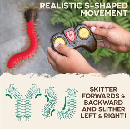 Terra by Battat — RC Centipede Giant Scolopendra Toy with LED Eyes | Remote Control Centipede with 18 Body Segments, Fast Moving Legs and S Shape Wriggle; Electronic Animal Toy for Kids 6+ Years - style: Scolopendra