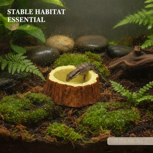 Resin Feeding Bowl, Weighted Water Dish for Reptile Terrariums, Stable Food Station for Small Animals (1 PC)