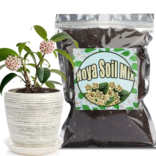 Doter Potting Soil Mix for Hoya 1qt, Custom Hand Blended Mixture Suitable for Indoor/Outdoor Potted Fern Plant - size: 1qt