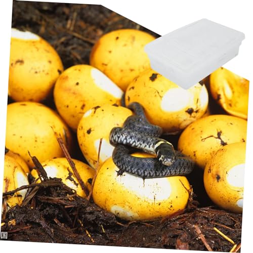 Plastic Reptile Incubation Box Cell Hatching Container for Lizard Eggs Durable Two Design Lightweight Compact for Easy Reptile Breeding Experience