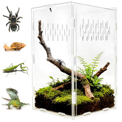 Jumping Spider Enclosure, 10x6x6 Inch Acrylic Reptile Enclosure with Front Door, Large Insect Terrarium Habitat for Jumping Spiders, Praying Mantis, Arboreal Tarantulas - size: 10" x 6" x 6"