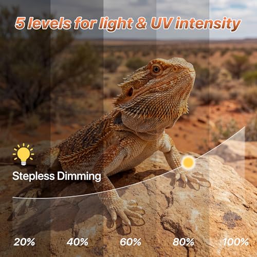 LED UVB Reptile Light with Timer & Dimmer (8.5inch) | 8W Full Spectrum UVA UVB Lamp with 3 Lighting Modes,5-Level Dimmable,4/8/12H Cycle Timer,for Bearded Dragon,Gecko,Tortoise - size: 8.5inch