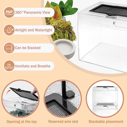 Reptile Terrarium, Jumping Spider Enclosure Starter Kit, Leopard Gecko Habitat Container, 8"x8"x6"Reptile Tank for Tarantula, Hermit Crab, Insect, Fish, Frog, Small Bearded Dragon, Lizard - size: 8"x8"x6"
