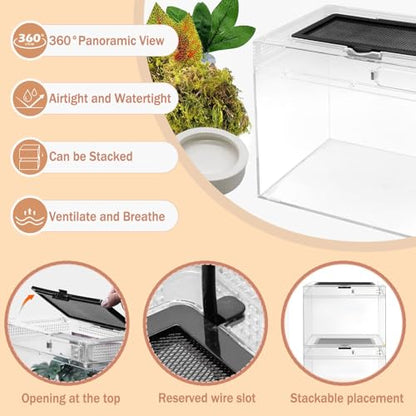 Reptile Terrarium, Jumping Spider Enclosure Starter Kit, Leopard Gecko Habitat Container, 8"x8"x6"Reptile Tank for Tarantula, Hermit Crab, Insect, Fish, Frog, Small Bearded Dragon, Lizard - size: 8"x8"x6"